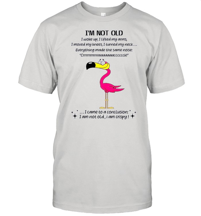 Flamingo Im not old I came to a conclusion shirt