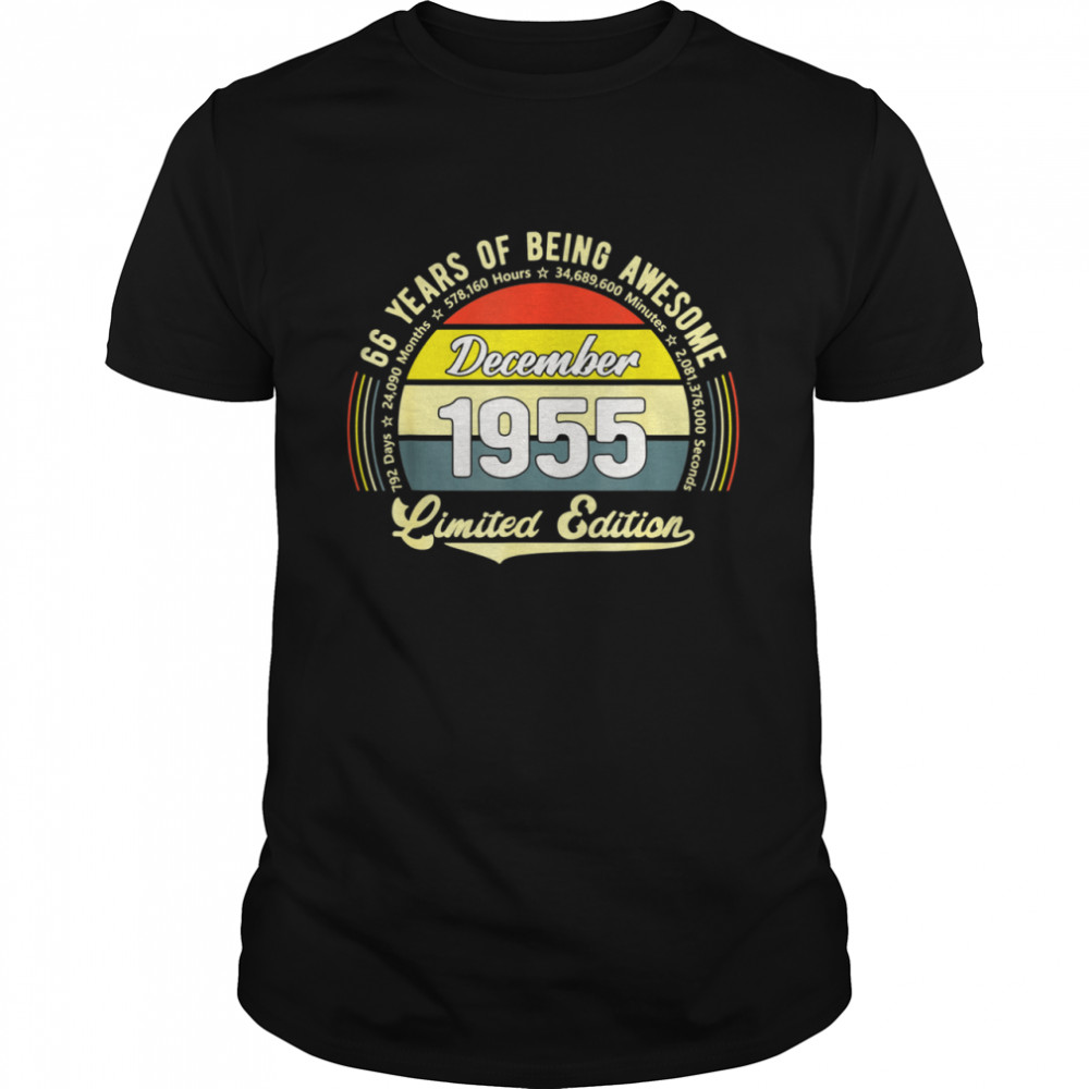 Vintage 66 Jahre alt 792 Monate Limited Edition 66 Geburtstag Shirt