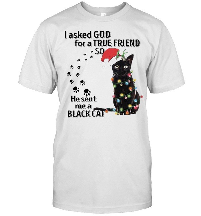 I asked God for a True friend so he sent me a Santa Black Cat Light Christmas shirt