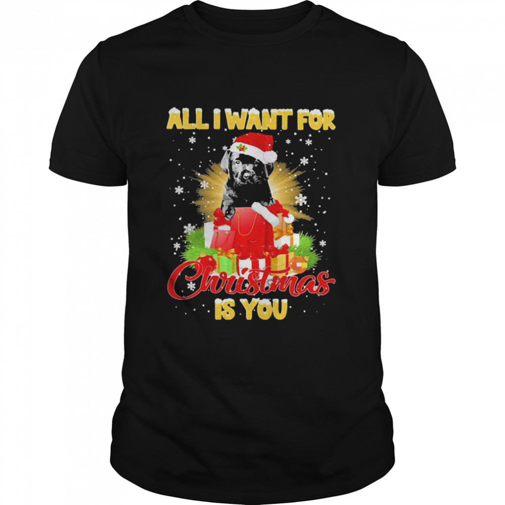 Black Labrador Pup All I Want For Christmas Is You Sweat T-shirt