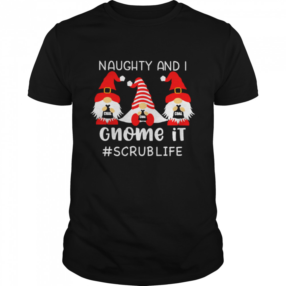 Naughty And I Gnome It Scrub Life Christmas Sweater Shirt