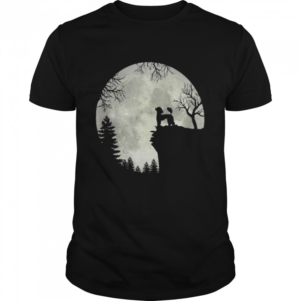Poodle And Moon Halloween  Classic Men's T-shirt